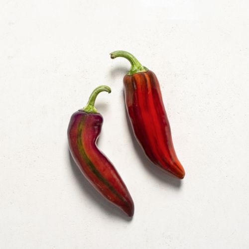 patchwork peppers - row 7 seed - baldor food