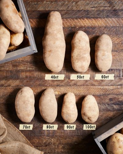 potato-size-comparison