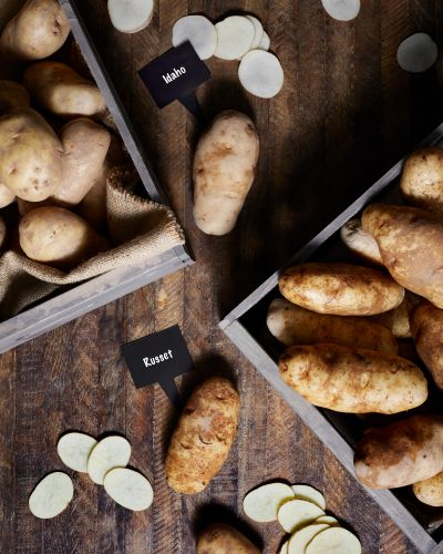 idaho-vs-russet-potatoes-comparison