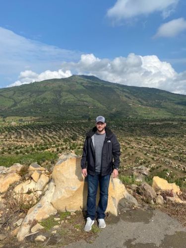 matt-rendine_avocado-orchard-mexico