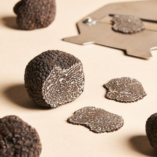 black-perigord-fresh-winter-truffles-baldor-specialty-foods