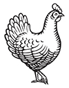 hen_icon