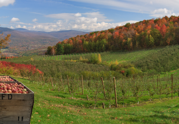 Amazing to the Core: Meet Hudson River Fruit Distributors