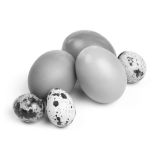 Cage Free Liquid Egg Yolks Bag In Box