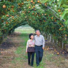 Evergreen Orchard Farm