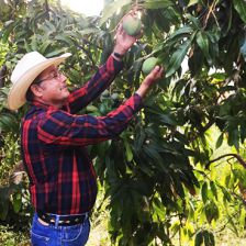 Garcia Organic Farm