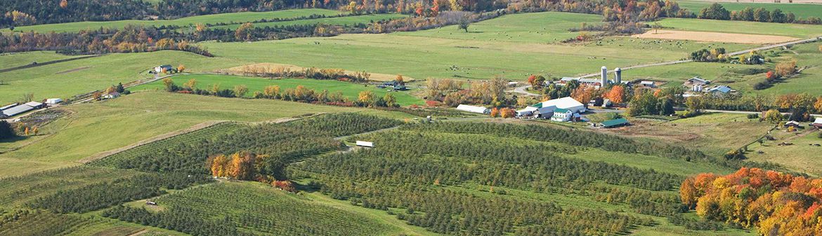 Champlain Orchards