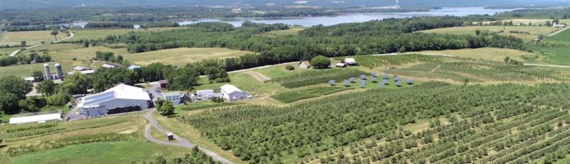 Champlain Orchards