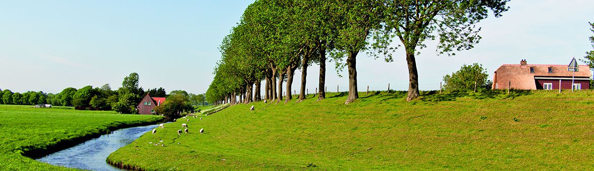 Beemster-Premium Dutch Cheese