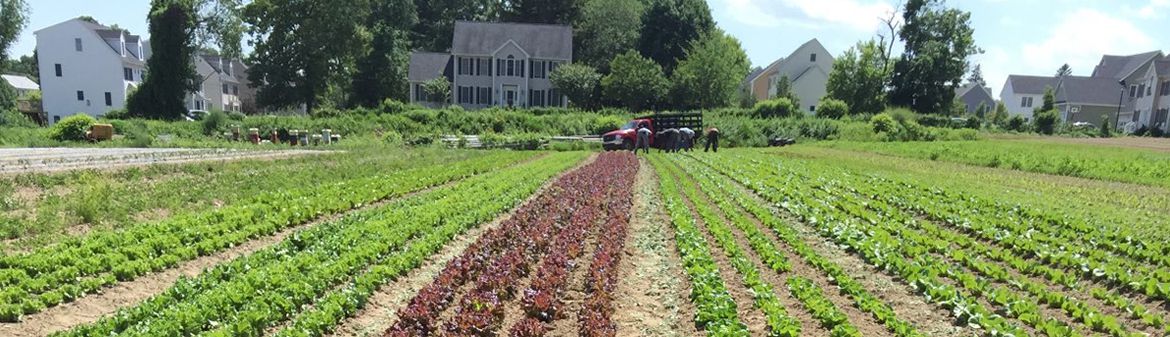 Pleasant Valley Gardens Farms Partners Baldorfood