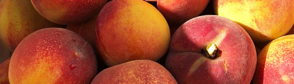 Masumoto Family Farm