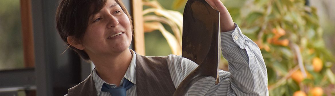 Masumoto Family Farm