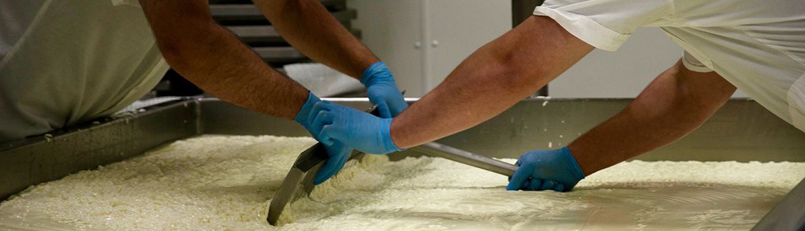 Grafton Village Cheese