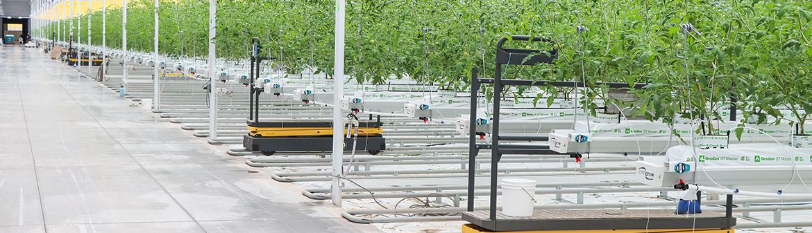 Intergrow Greenhouses