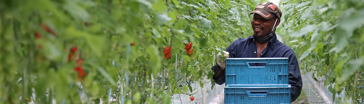 Intergrow Greenhouses