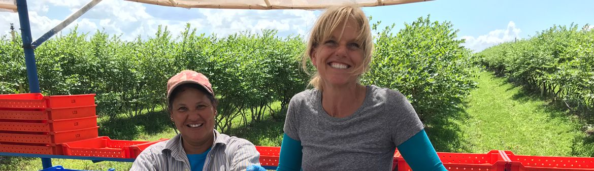 King Grove Organic Farm