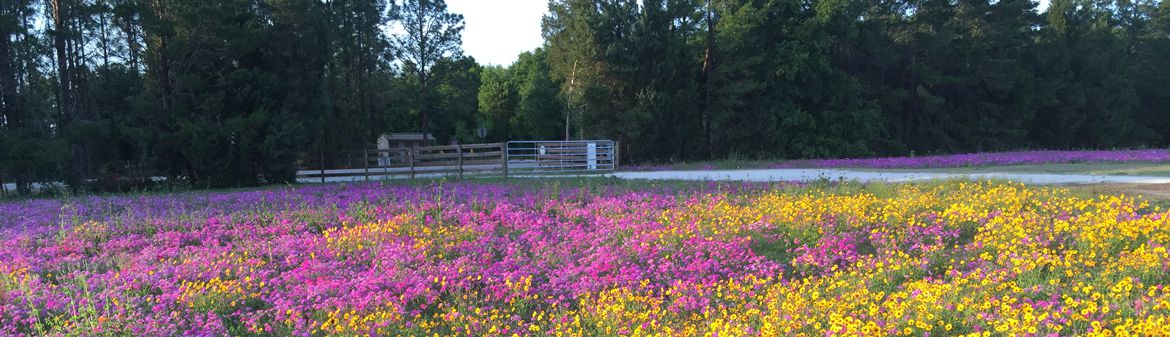 King Grove Organic Farm