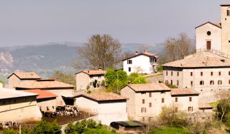 Ambrosi