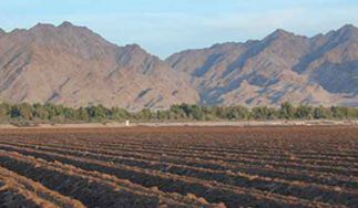 Savor Fresh Farms