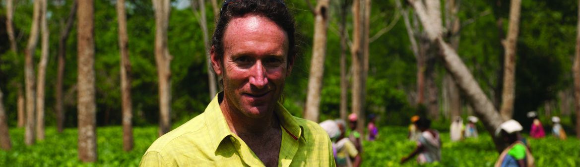 Two Leaves and a Bud