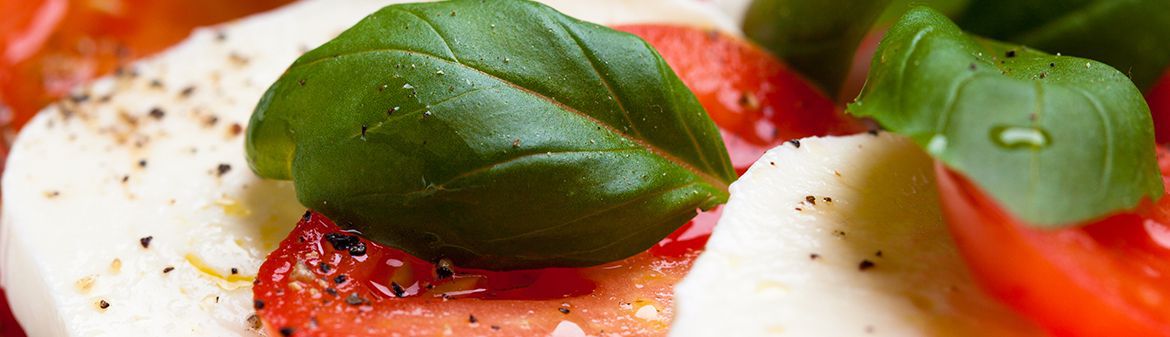 Lioni Latticini, Inc.