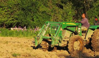 Norwich Meadows Farm