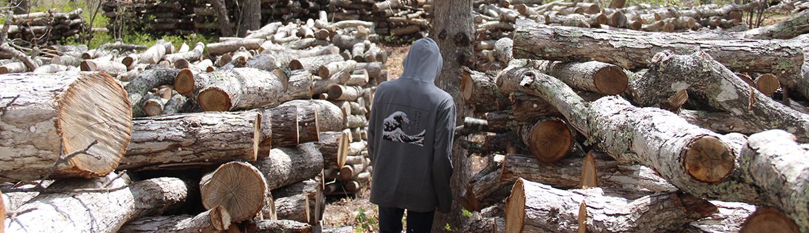 Martha's Vineyard Mycological