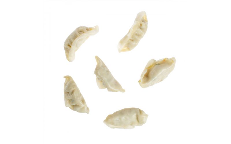 Vegetable Potsticker