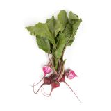Baby Candy Cane Beets