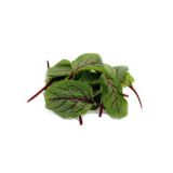 Micro Red Vein Sorrel Leaves