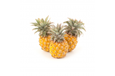 Baby Pineapples