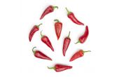 Red Fresno Peppers
