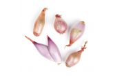 Whole Shallots