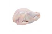 ABF Naked Whole Turkey 16-20 LB