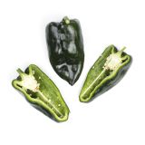 Master Poblano/Passilla Peppers