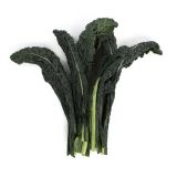 Organic Lacinato Kale