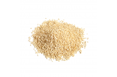 Quinoa