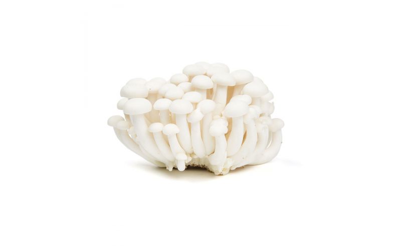 White Hon Shimeji Mushrooms