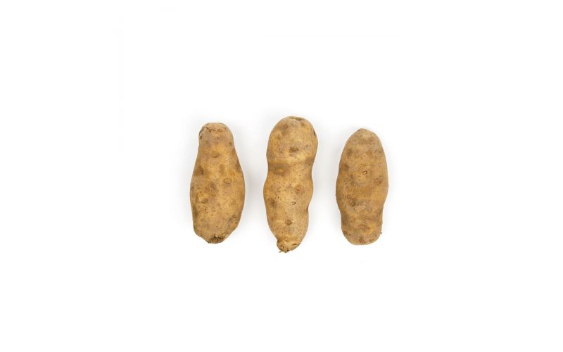GPOD Potatoes 90 CT