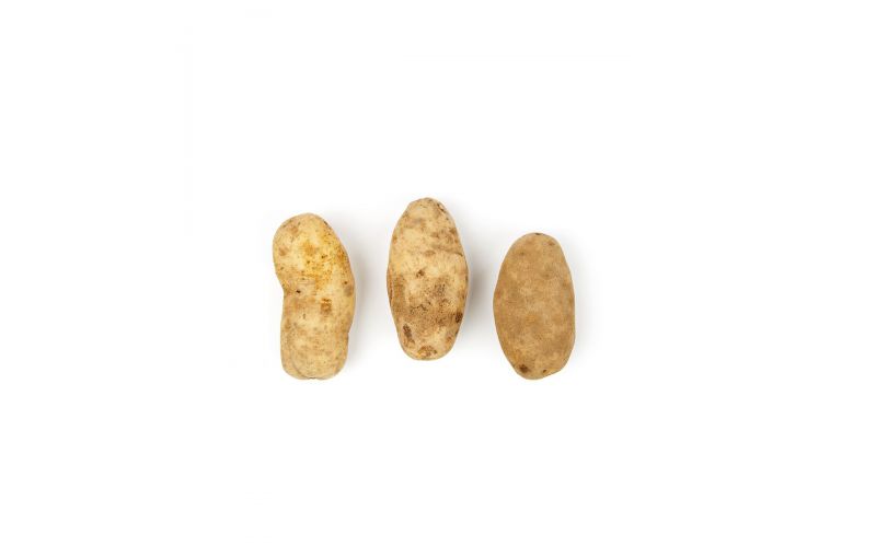 GPOD Potatoes 100 CT