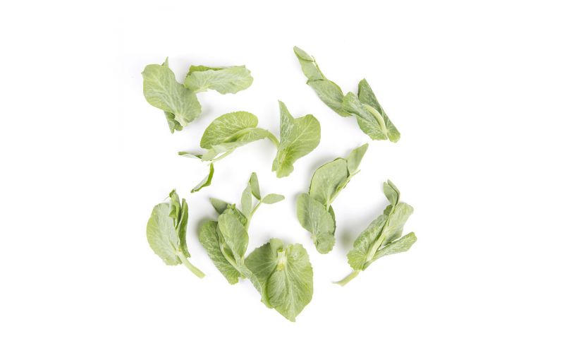Pea Leaves