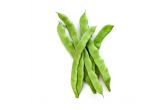 Dutch Runner Beans