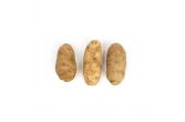 Potatoes #1 100 CT