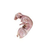 Frozen Whole Fryer Rabbit