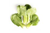 Organic Baby Bok Choy