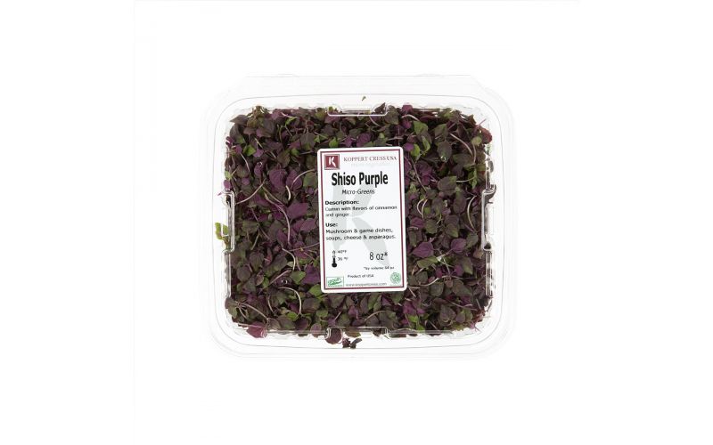 Micro Purple Shiso