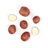 Red Bliss Potatoes