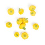 Baby Yellow Pattypan Squash