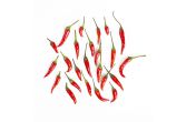 Red Thai Bird Chili Peppers