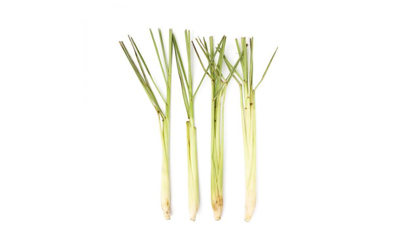 Lemongrass
